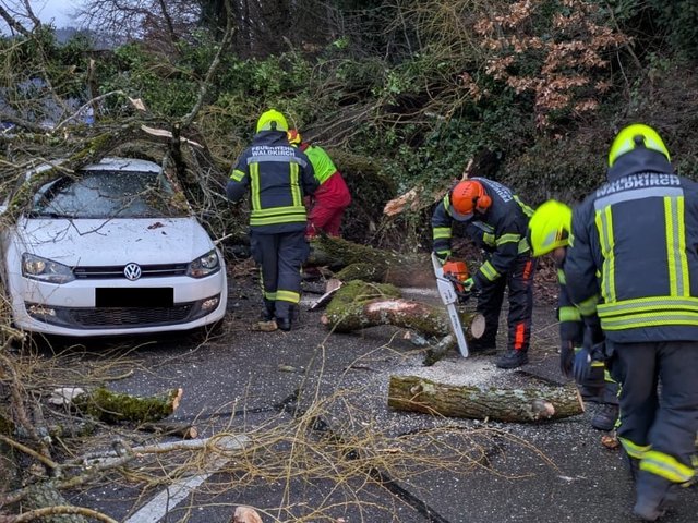 21.02.2026 Baum auf Auto, Tannenweg