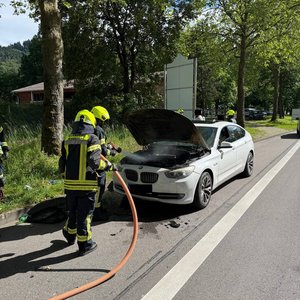 19.05.2026 FZ Brand 1