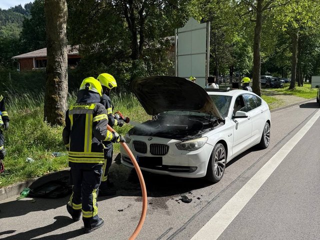 19.05.2026 FZ Brand 1