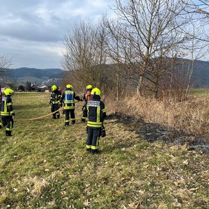 09.02.2025 Flächenbrand Heimeck 1