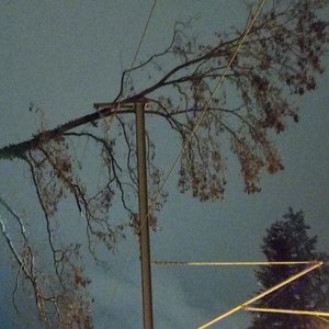 10.01.2026 Baum auf Oberleitung Bahnhof Kollnau 2