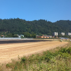 25.06.2026 Vegetationsbrand bei Buchholz 1
