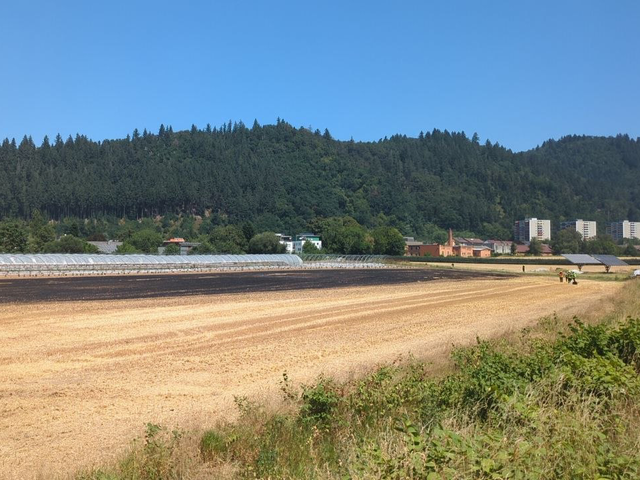 25.06.2026 Vegetationsbrand bei Buchholz 1