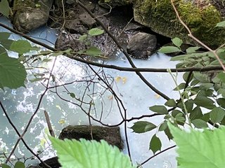 23.05.2025 Wasserverunreinigung 2