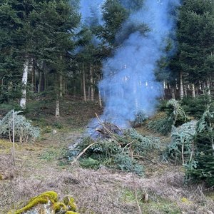 24.01.2025 Nutzfeuer Wegelbach