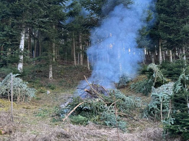 24.01.2025 Nutzfeuer Wegelbach