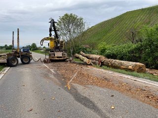 Langholztransporter mit verlorener Ladung